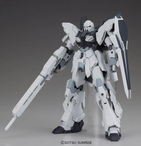 1/100 MG SINANJU STEIN VER KA