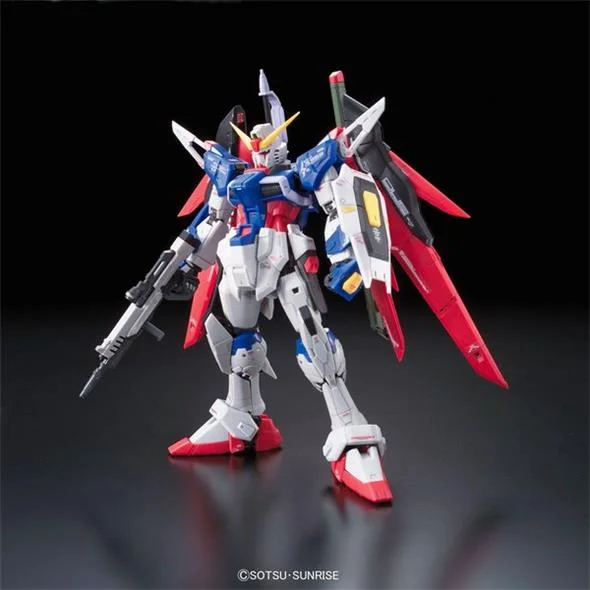 1/144 RG - 011 GUNDAM DESTINY