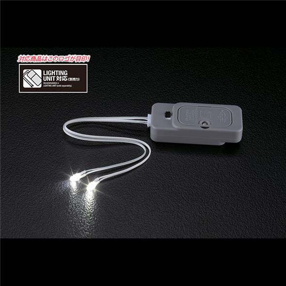 LED UNIT TYPE 2 WHITE LIGHT