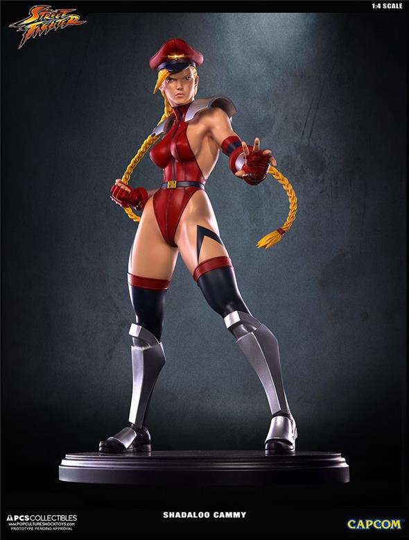 SUPER STREET FIGHTER IV SHADALOO CAMMY
