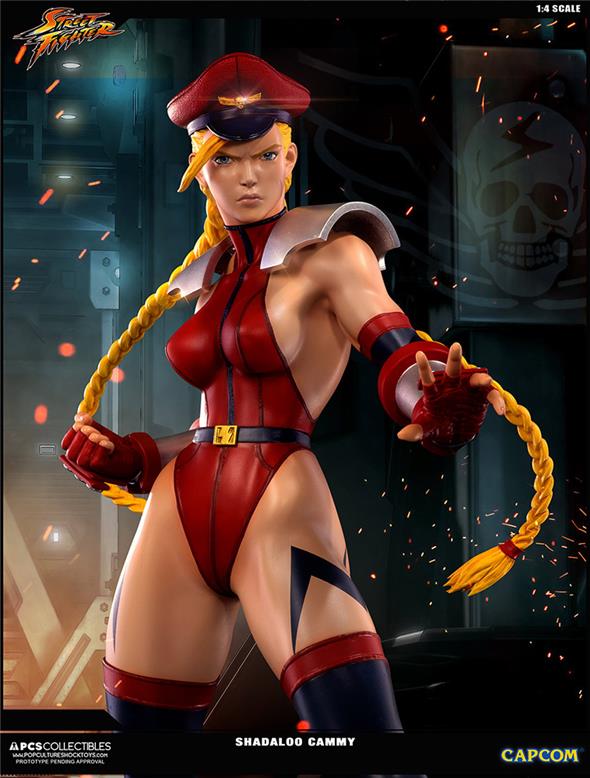 SUPER STREET FIGHTER IV SHADALOO CAMMY
