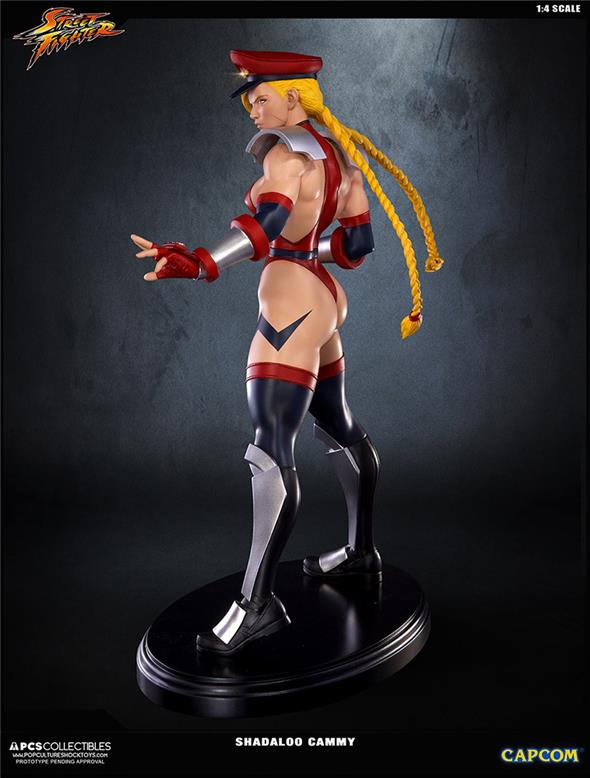 SUPER STREET FIGHTER IV SHADALOO CAMMY