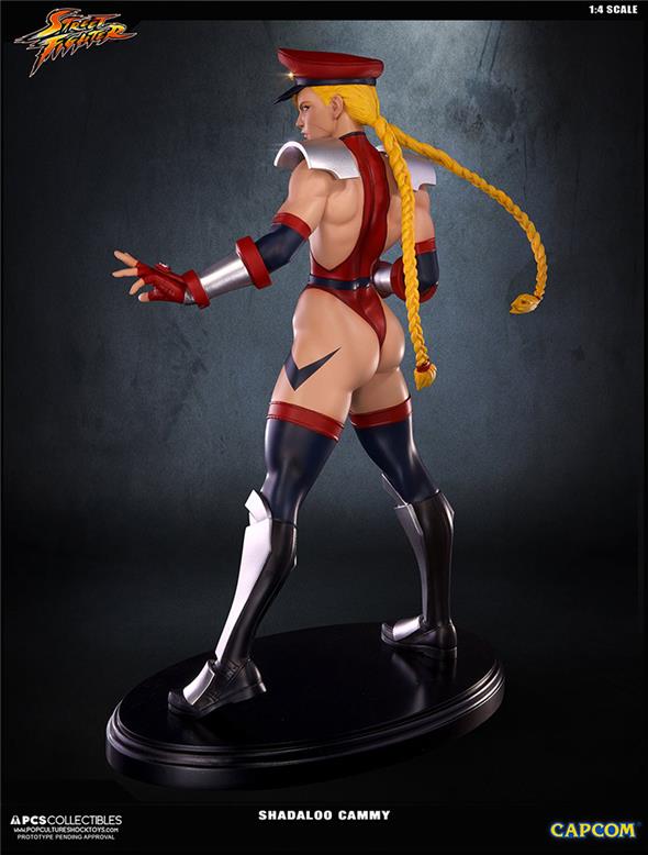 SUPER STREET FIGHTER IV SHADALOO CAMMY