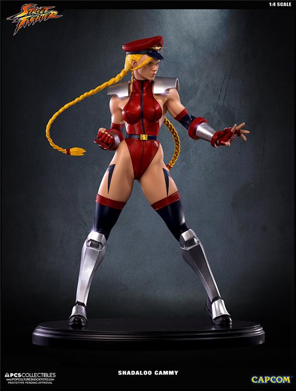 SUPER STREET FIGHTER IV SHADALOO CAMMY