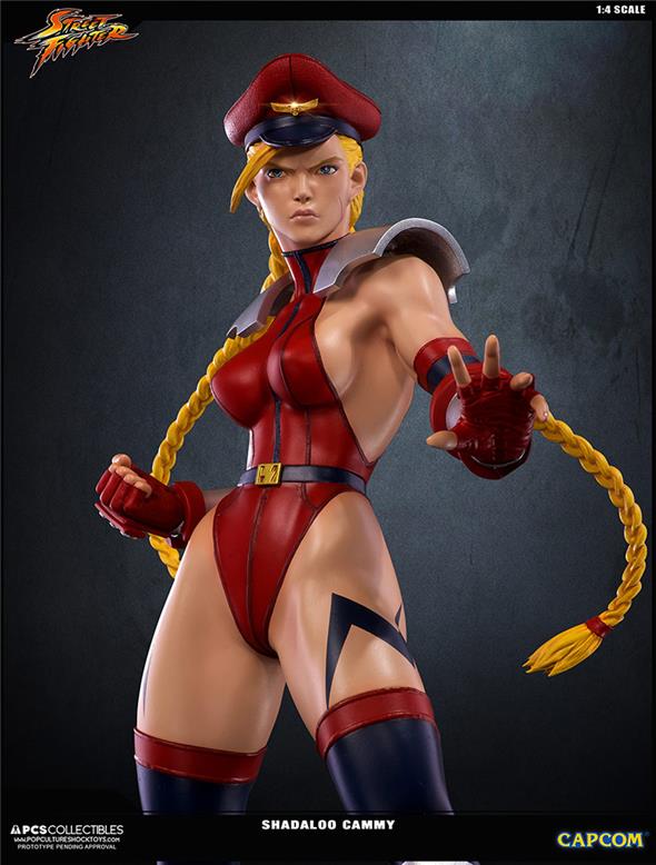 SUPER STREET FIGHTER IV SHADALOO CAMMY