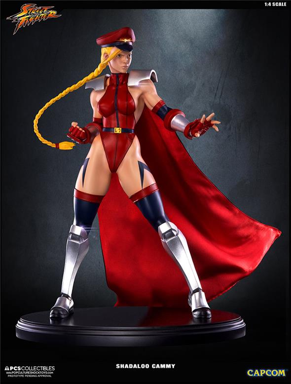 SUPER STREET FIGHTER IV SHADALOO CAMMY