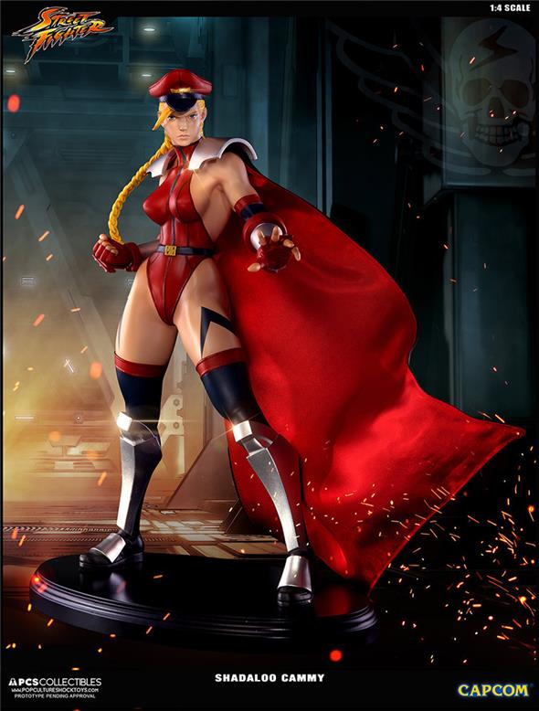 SUPER STREET FIGHTER IV SHADALOO CAMMY