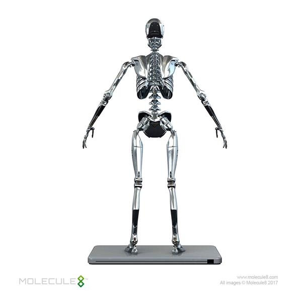 1/6 MOLECULE8 - STAINLESS STEEL MARK I ENDOSKELETON