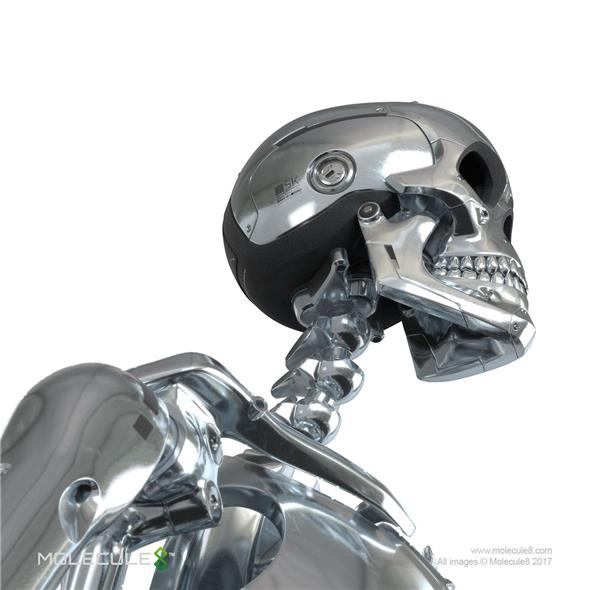 1/6 MOLECULE8 - STAINLESS STEEL MARK I ENDOSKELETON