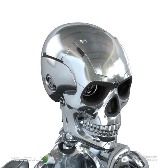 1/6 MOLECULE8 - STAINLESS STEEL MARK I ENDOSKELETON