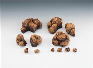 bandai-sh-figuarts-tamashii-effect-rock-beige-version