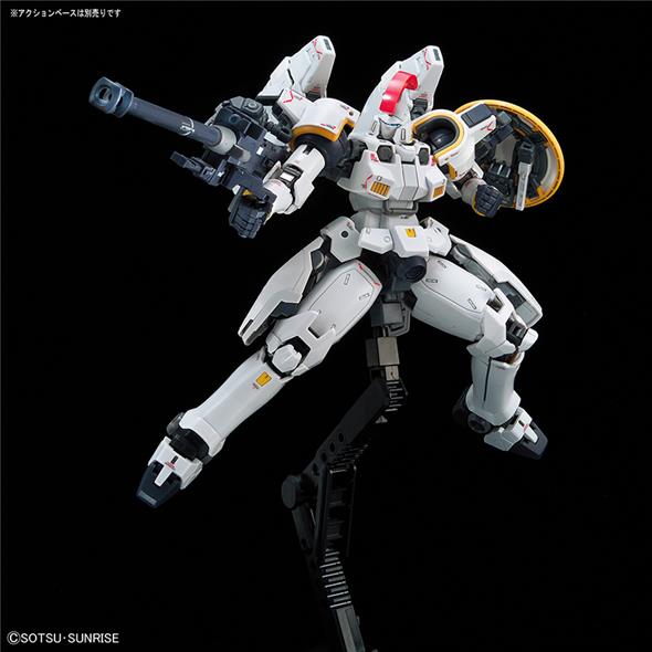 1/144 RG - TALLGEESE EW
