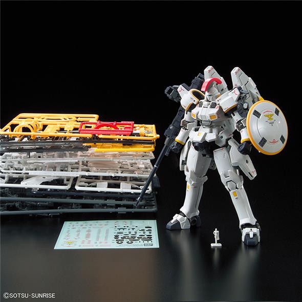 1/144 RG - TALLGEESE EW