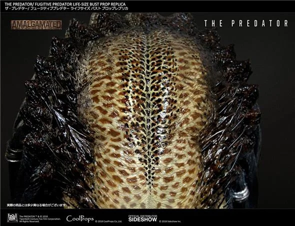 THE PREDATOR: FUGITIVE PREDATOR PROP REPLICA - LIFE SIZED BUST