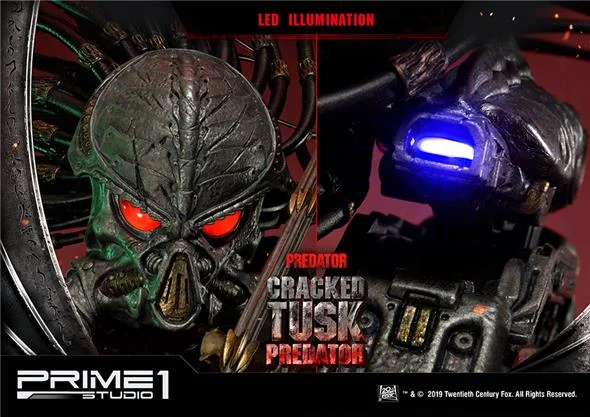 PREDATOR - CRACKED TUSK PREDATOR