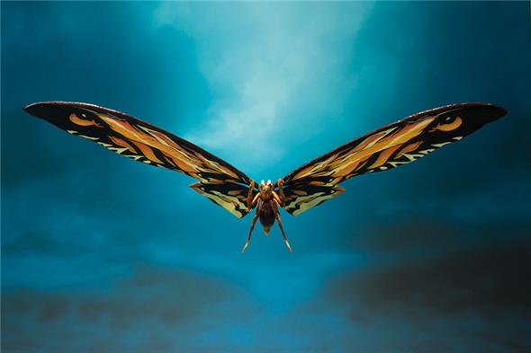 S.H. FIGUARTS - GODZILLA KING OF M MOTHRA/RODAN SET