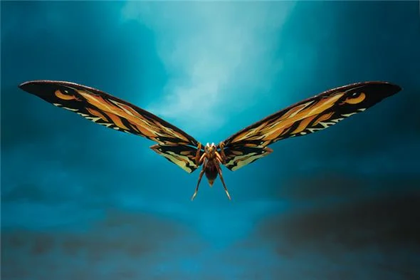 S.H. FIGUARTS - GODZILLA KING OF M MOTHRA/RODAN SET