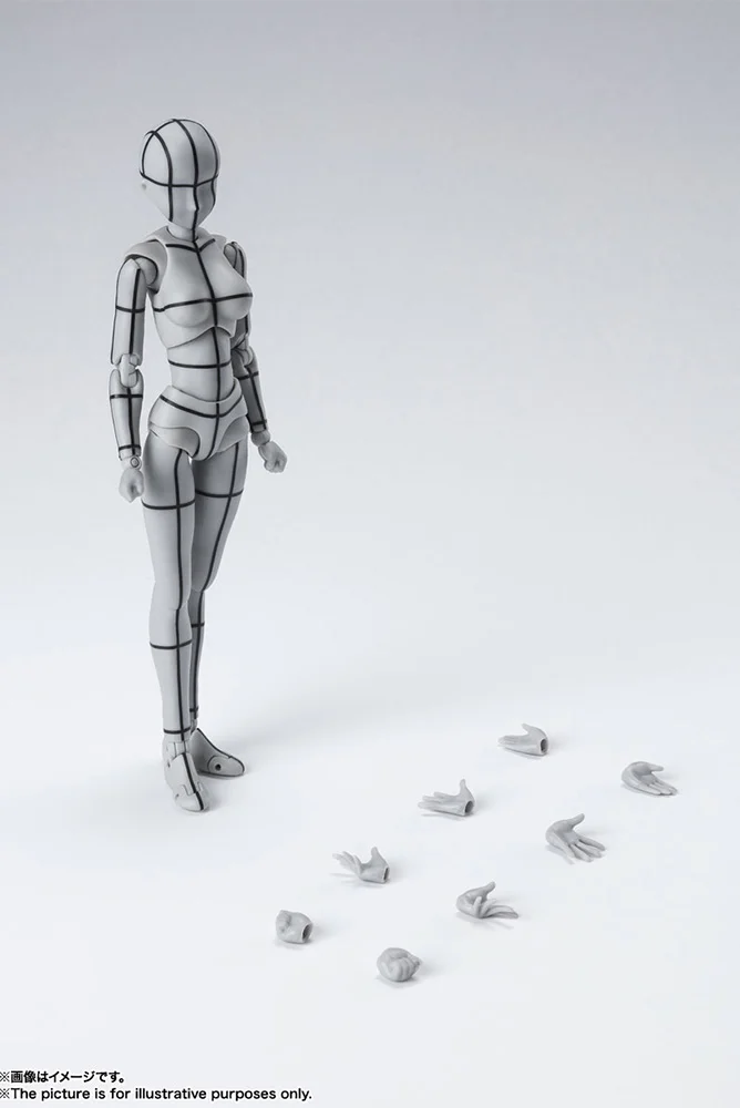 S.H. FIGUARTS - BODY CHAN WIREFRAME GRAY