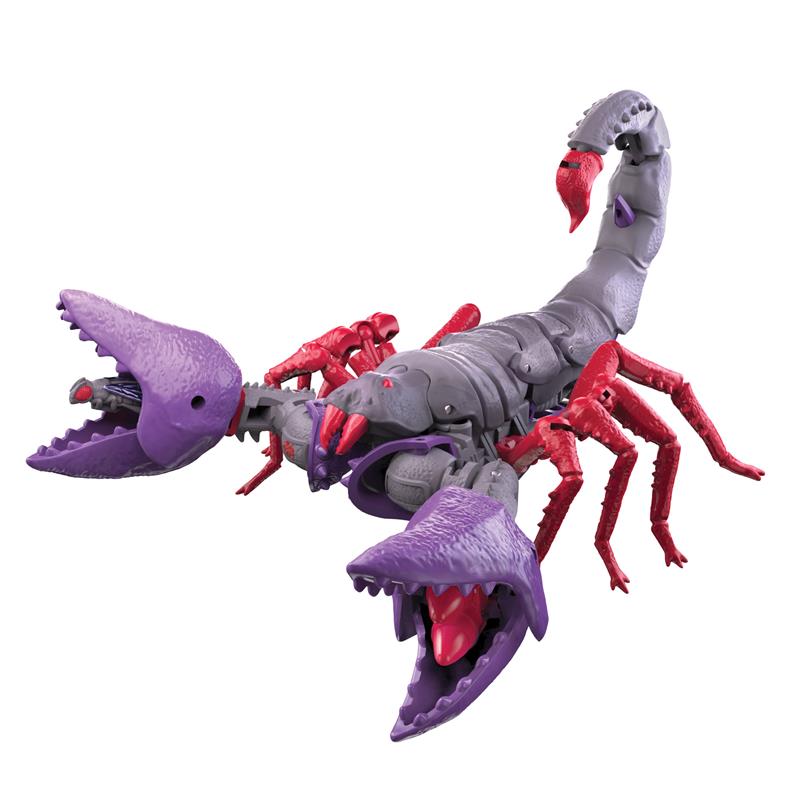 TRANSFORMERS WAR FOR CYBERTRON KINGDOM WAVE 2 (F03645L02 SET DA 4 PEZZI)