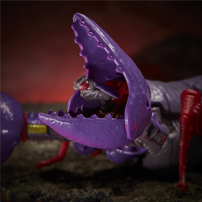TRANSFORMERS WAR FOR CYBERTRON KINGDOM WAVE 2 (F03645L02 SET DA 4 PEZZI)