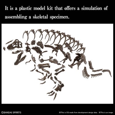 1/32 IMAGINARY SKELETON TYRANNOSAURUS