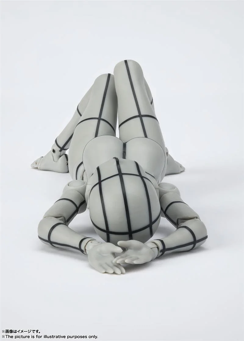 S.H. FIGUARTS - BODY CHAN KENTARO YABUKI WIRE GRAY