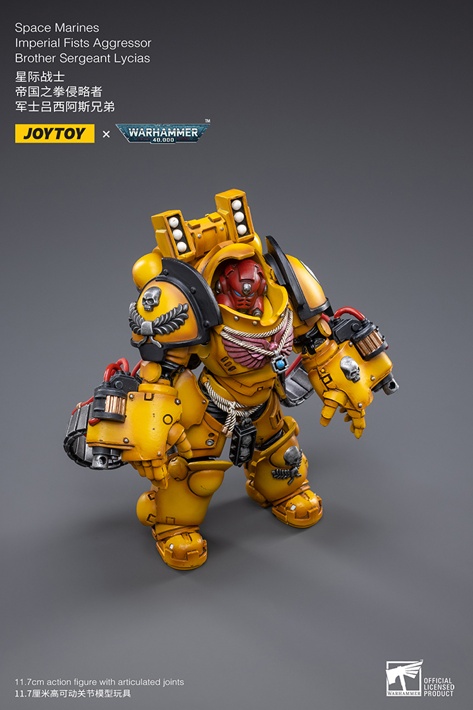 WH40K IMP FISTS AGGR BROTHER SGT LYCIAS