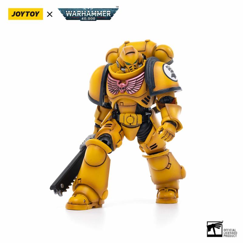 WH40K IMPERIAL FISTS INTERCESSORS