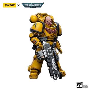 WH40K IMPERIAL FISTS HEAVY INTERCESSORS2