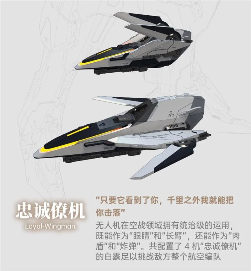 RB-P-01 ARMORED COLOSSUS BAILU AIR COMBAT CUSTOM - MODEL KIT