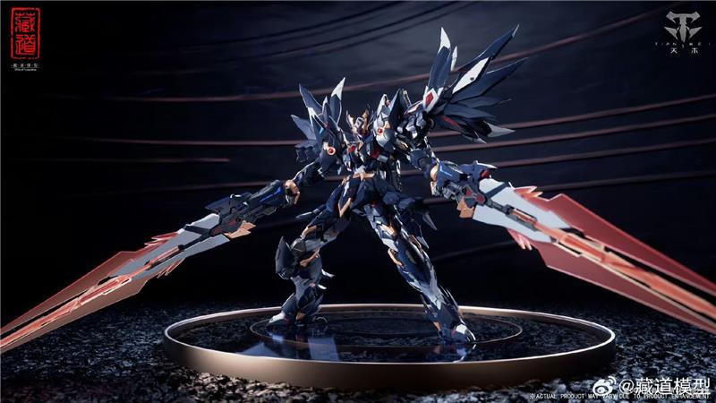 CD-09 BLACK RAVEN
