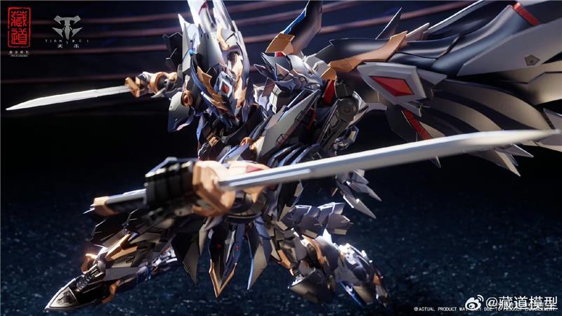 CD-09 BLACK RAVEN