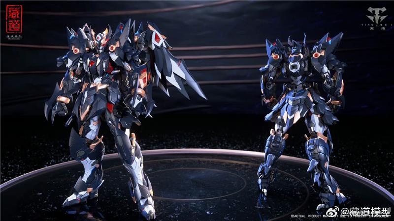 CD-09 BLACK RAVEN
