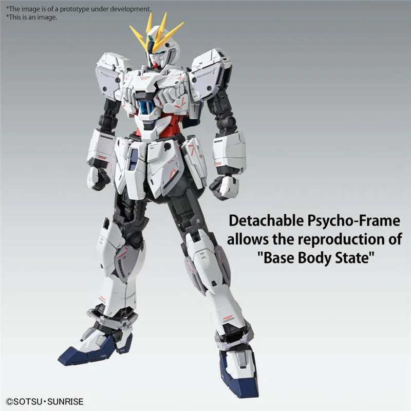 1/100 MG GUNDAM NARRATIVE C-PACKS VER KA