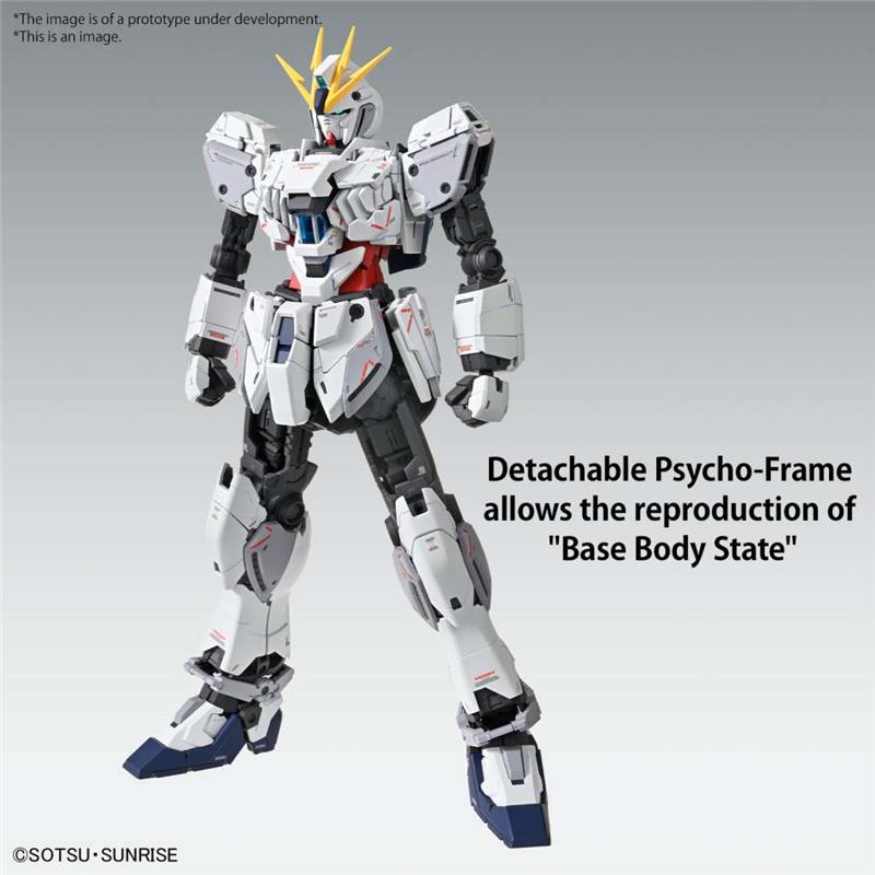 1/100 MG GUNDAM NARRATIVE C-PACKS VER KA