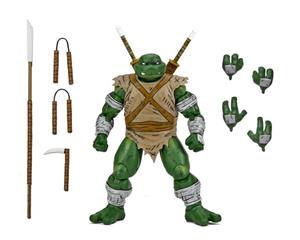 neca-tmnt-mirage-michelangelo-wanderer