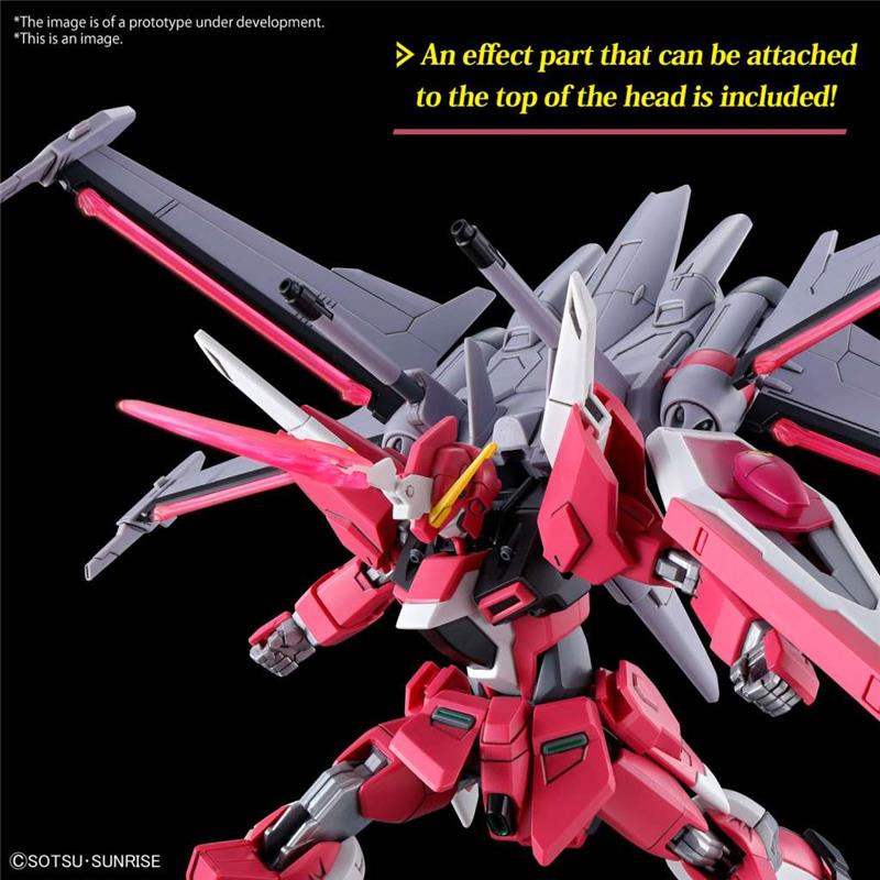 1/144 HG GUNDAM INFINITE JUSTICE TYPE II