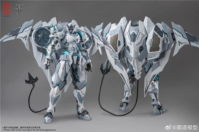 CD-07W HURRICANE NINJA WHITE GHOST
