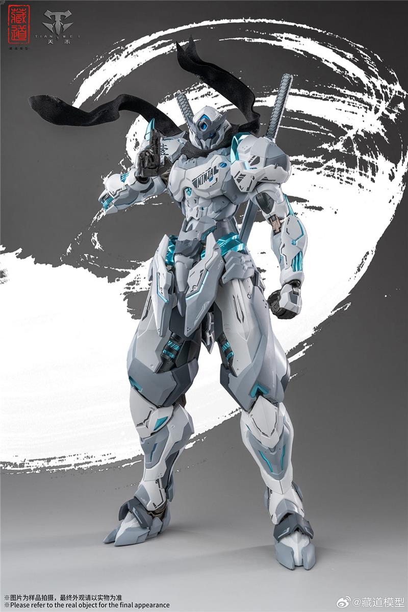 CD-07W HURRICANE NINJA WHITE GHOST
