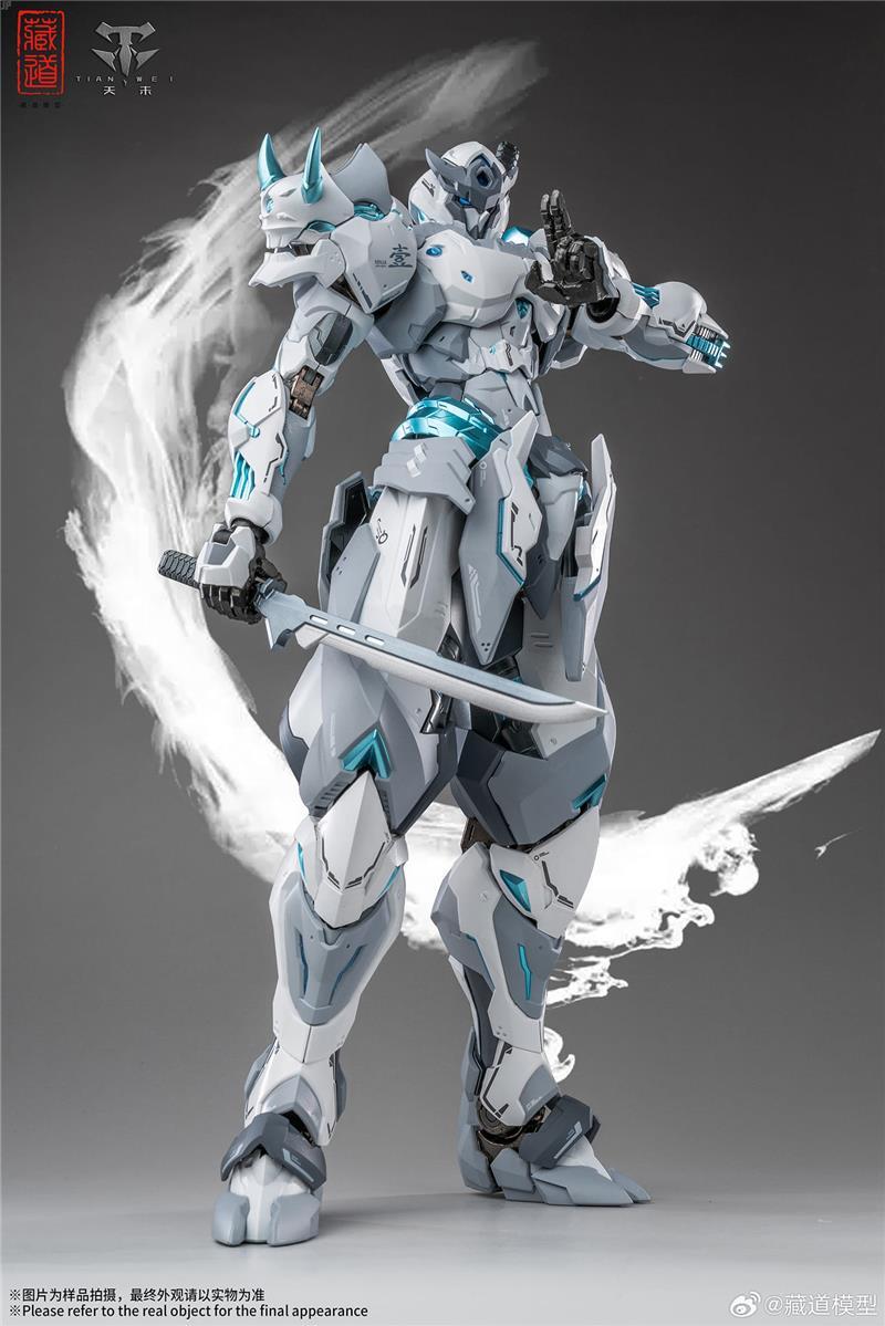 CD-07W HURRICANE NINJA WHITE GHOST
