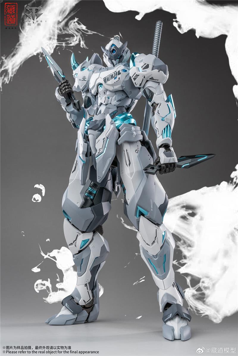 CD-07W HURRICANE NINJA WHITE GHOST