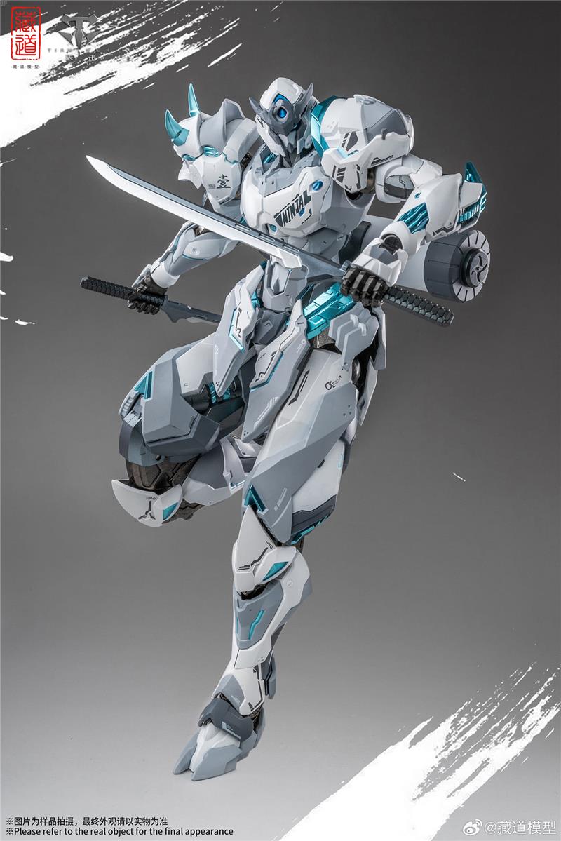 CD-07W HURRICANE NINJA WHITE GHOST