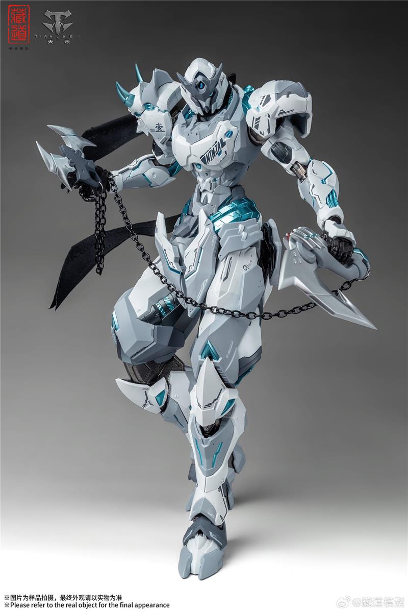 CD-07W HURRICANE NINJA WHITE GHOST