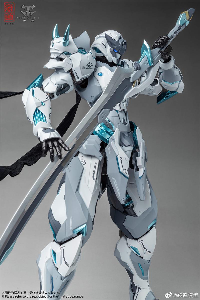 CD-07W HURRICANE NINJA WHITE GHOST