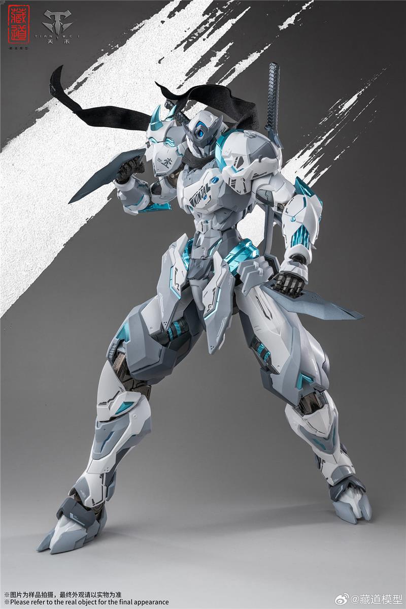 CD-07W HURRICANE NINJA WHITE GHOST