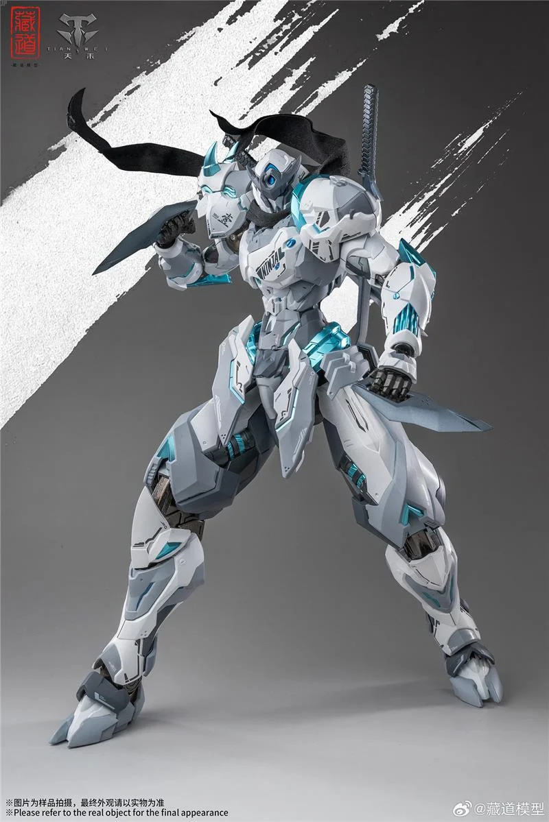 CD-07W HURRICANE NINJA WHITE GHOST
