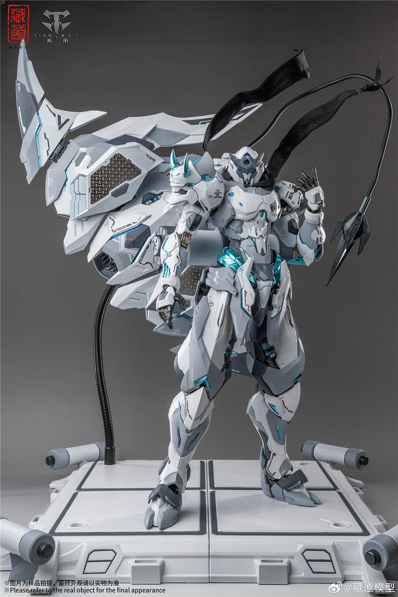 CD-07W HURRICANE NINJA WHITE GHOST