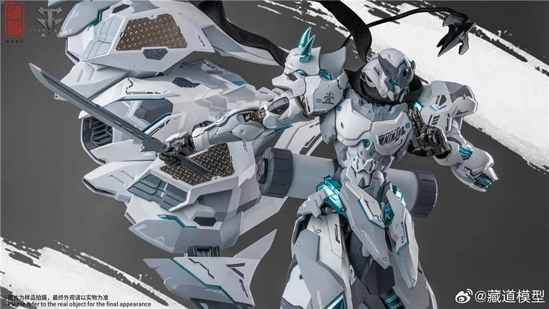 CD-07W HURRICANE NINJA WHITE GHOST