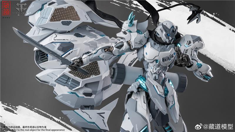 CD-07W HURRICANE NINJA WHITE GHOST