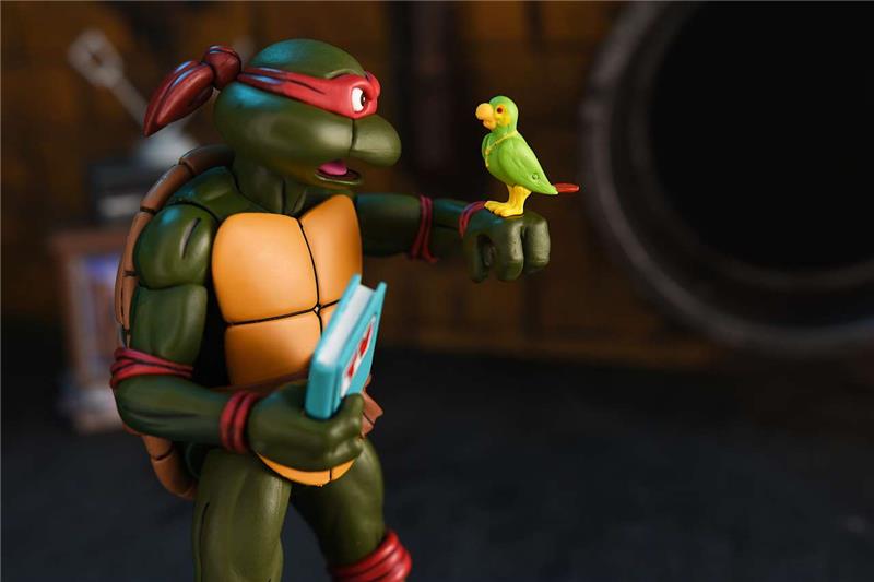 NECA - TMNT CARTOON ULTIMATE RAPHAEL VHS